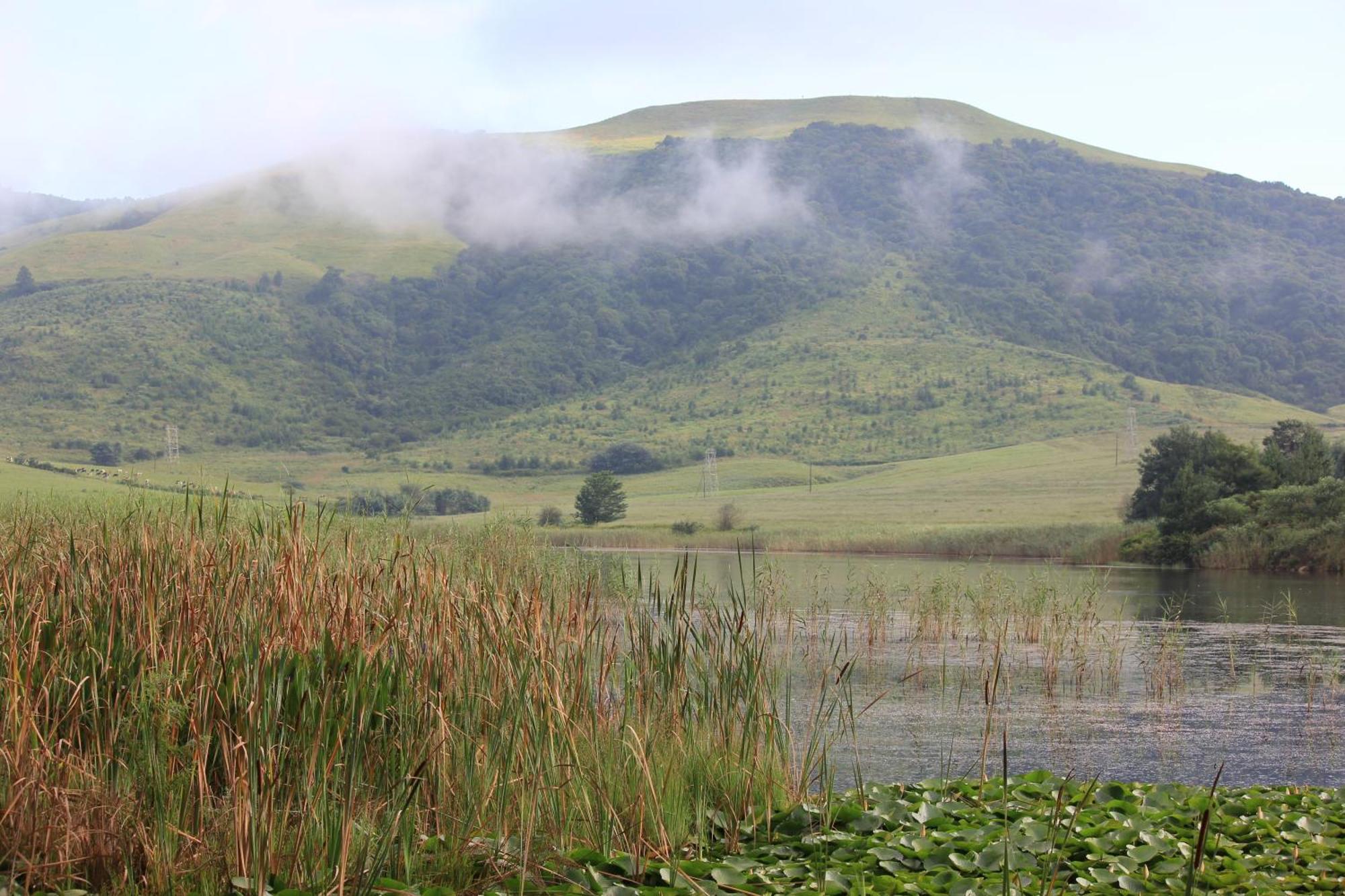 Hotel Beacon Vlei Guest Farm Balgowan Exterior foto